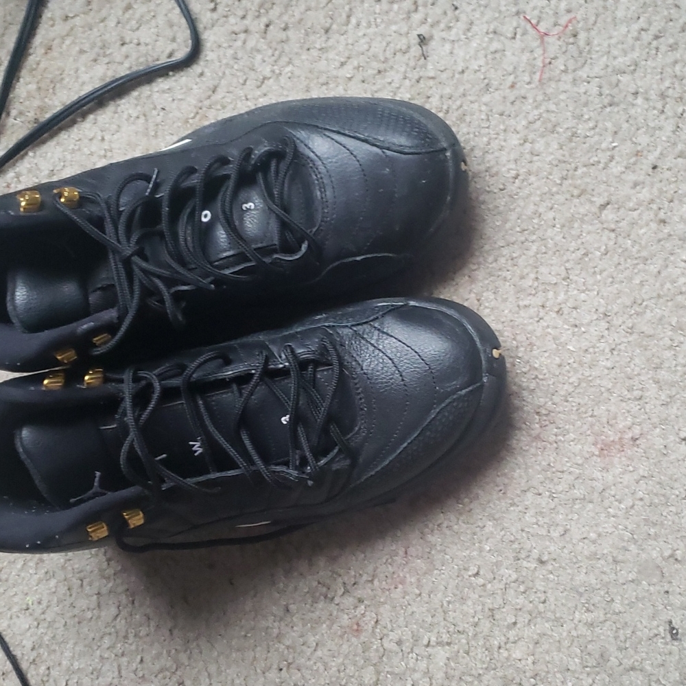 Jordan 12 authentic 100%